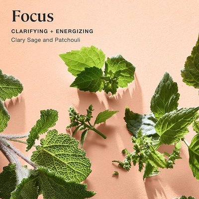 Sprig by Kohler Scented Candle, Focus, 8 oz